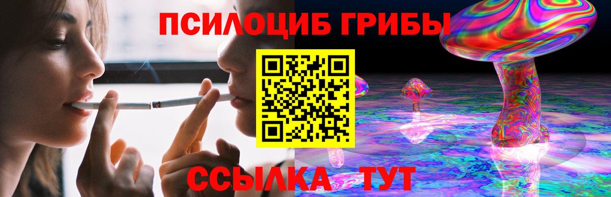Псилоцибиновые грибы Psilocybe Азнакаево
