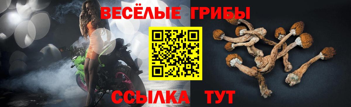 Псилоцибиновые грибы Psilocybe  купить наркоту  Азнакаево  Вход с VPN 